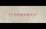 2个月的金毛喂多少