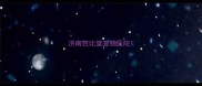 济南芭比堂宠物医院
