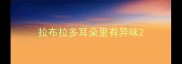 拉布拉多耳朵里有异味