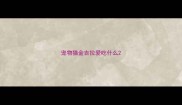 宠物猫金吉拉爱吃什么