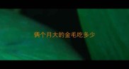 俩个月大的金毛吃多少