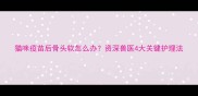 猫咪疫苗后骨头软怎么办资深兽医4大关键护理法