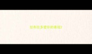 拉布拉多爱你的表现