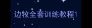 边牧全套训练教程
