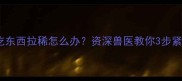 哈士奇不吃东西拉稀怎么办资深兽医教你3步紧急处理法