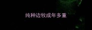 纯种边牧成年多重