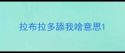 拉布拉多舔我啥意思
