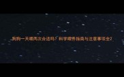 狗狗一天喂两次合适吗科学喂养指南与注意事项全