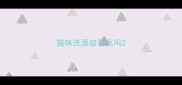 猫咪洗澡容易死吗