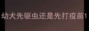 幼犬先驱虫还是先打疫苗