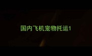 国内飞机宠物托运