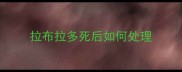 拉布拉多死后如何处理