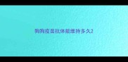 狗狗疫苗抗体能维持多久