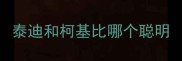 泰迪和柯基比哪个聪明