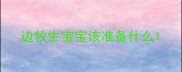 边牧生宝宝该准备什么