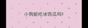 小狗能吃冰西瓜吗