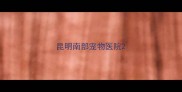 昆明南部宠物医院