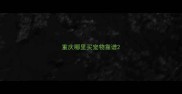 重庆哪里买宠物靠谱