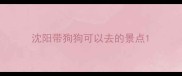 沈阳带狗狗可以去的景点