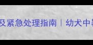 哈士奇发烧症状及紧急处理指南幼犬中暑发烧急救全攻略