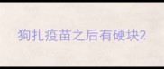 狗扎疫苗之后有硬块
