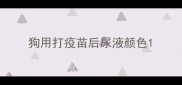 狗用打疫苗后尿液颜色