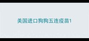 美国进口狗狗五连疫苗