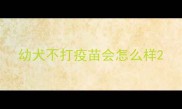 幼犬不打疫苗会怎么样