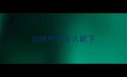 边牧怀孕多久能下