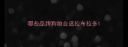 哪些品牌狗粮合适拉布拉多
