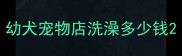 幼犬宠物店洗澡多少钱