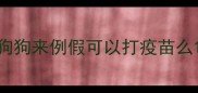 狗狗来例假可以打疫苗么