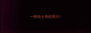 一群哈士奇的照片