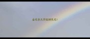 金毛多久开始掉乳毛