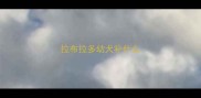 拉布拉多幼犬补什么