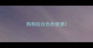 狗狗拉白色的便便