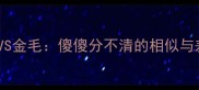 可卡犬VS金毛傻傻分不清的相似与差异全