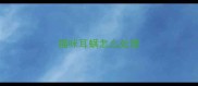 猫咪耳螨怎么处理
