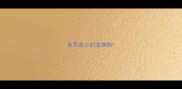 世界最小的宠物狗