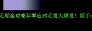 哈士奇4月龄换毛期全攻略科学应对毛发大爆发新手必看养护指南