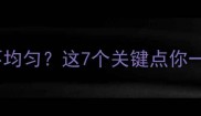 边牧幼犬毛色不均匀这7个关键点你一定要知道