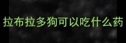 拉布拉多狗可以吃什么药