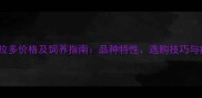 纯种小拉布拉多价格及饲养指南品种特性选购技巧与疫苗护理全