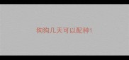 狗狗几天可以配种