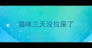 猫咪三天没拉屎了