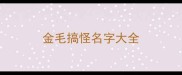 金毛搞怪名字大全
