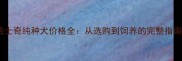 哈士奇纯种犬价格全从选购到饲养的完整指南