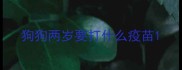 狗狗两岁要打什么疫苗
