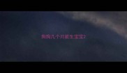 狗狗几个月能生宝宝