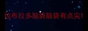 拉布拉多脑袋脑袋有点尖